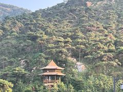 -徂徕山森林康养度假谷温泉