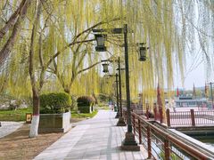 -西安汉城湖景区