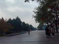 -大雁塔北广场音乐喷泉