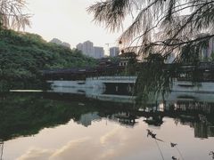 -重庆彩云湖湿地公园
