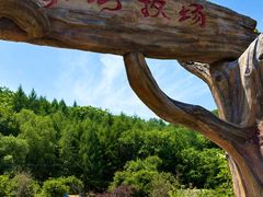 -参仙谷生态旅游度假区