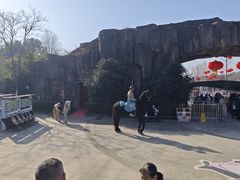 -合肥野生动物园