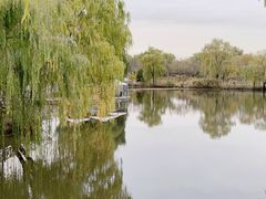 -稻香湖景欢乐岛温泉城堡