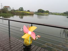 -贡湖湾湿地公园