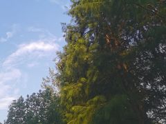 -滨湖塘西河公园