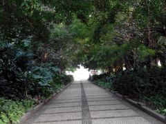 android_upload_pic-南宁南湖公园