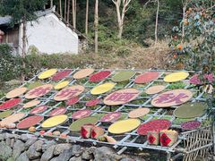 -林坑古村落