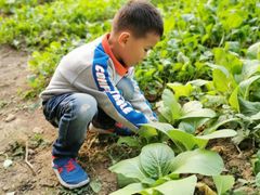 -天目湖刘老四农庄