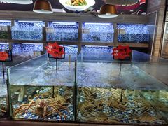 -上座·餐厅(阳光100店)