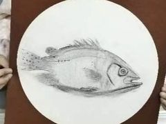 -佳翼教育(铁西大都汇校区)