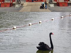 -珠海圆明新园