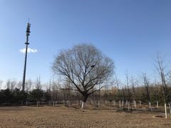 -永定河休闲森林公园