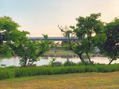 -宝安西湾红树林湿地公园