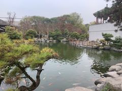 -中国唐苑