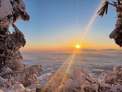 -瓦屋山景区