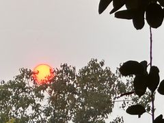 -西双版纳傣族园