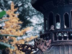 -关岳庙