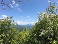 -王顺山国家森林公园