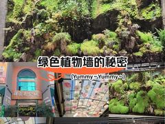 -祥云美食城(南强步行街店)