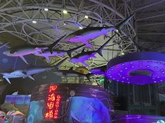 -烟台海昌鲸鲨海洋公园
