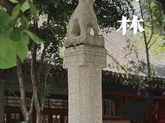 -西安碑林博物馆