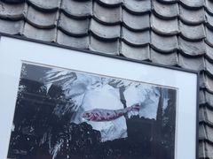 -瓦库茶馆17号(海汇港店)