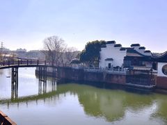 -八大山人梅湖景区