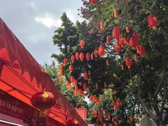 -越秀西湖花市(广州城市广场花卉店)