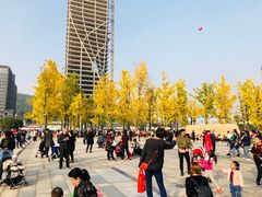 -百林公园-两江幸福广场