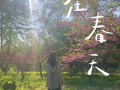-望湖公园