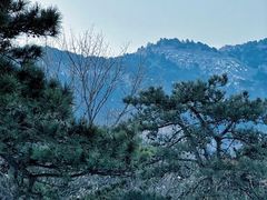 -北京西山国家森林公园