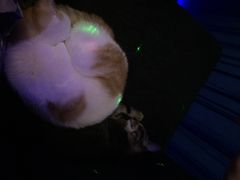 星宿秘码咖啡小酒馆(星宿秘码)-星宿秘码(鼓浪屿老店)