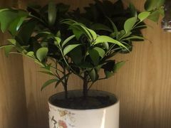 -荷花亭·湖北融合菜(十堰武商MALL店)