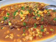 -东哥紫阳蒸盆子(旺座·现代城店)