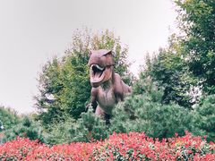 -南京枫彩漫城