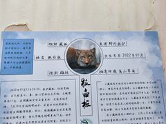 -青藏高原野生动物园