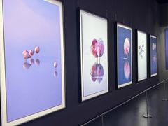 -罗红摄影艺术馆