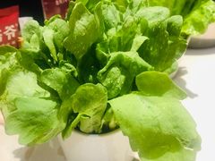 -浩爷羊蝎子火锅(望京店)