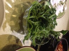 一叶一世界藏茶素食火锅-一叶一世界•素食餐厅(环球中心店)