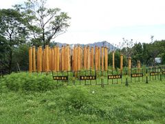 -窦圌山风景区