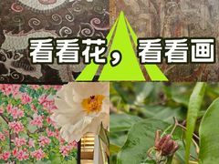 -承恩寺