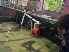 -小象钓虾·营地烧烤(洛溪店)