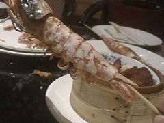 -壹号港湾