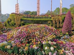 -南山植物园