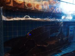 -百富源·海鲜辽菜(张士店)