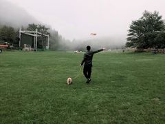 -武陵山森林公园