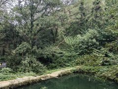 -素山寺森林公园