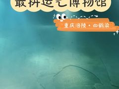 -白鹤梁水下博物馆