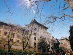 -武汉大学-樱园