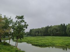 -洋湖国家湿地公园